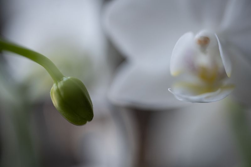 All About Me - Photography Basics Assignment