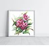 Pink Camellia Flowers