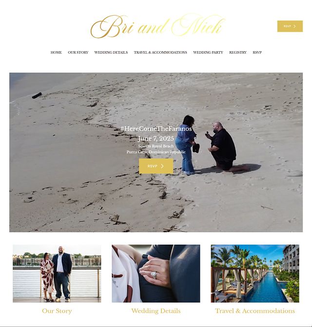 Bri en Nick Portfolio Website Voorbeelden