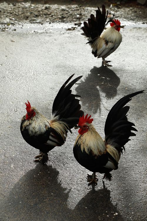 Best Travel Photographer in Delhi NCR