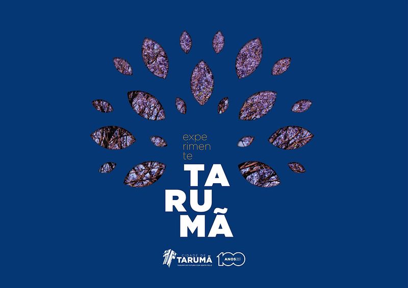 Livro para cidade de Tarumã