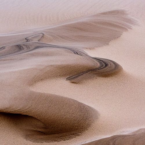 Scouting trip voor Denemarken/Jutland