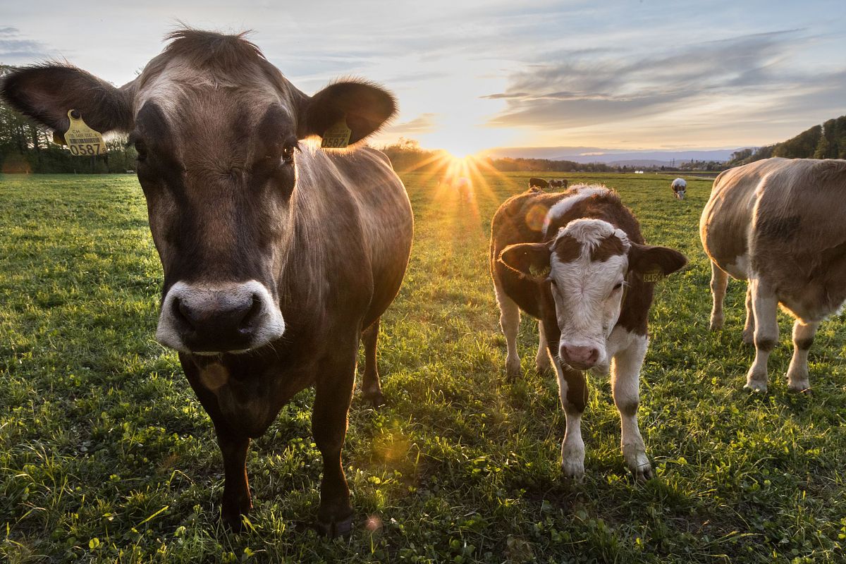 In der Eymatte Burgdorf