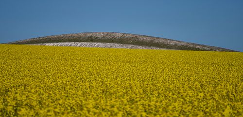 Scouting trip voor Denemarken/Jutland