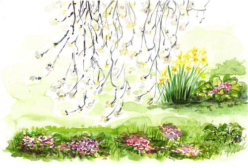 Mon jardin au printemps