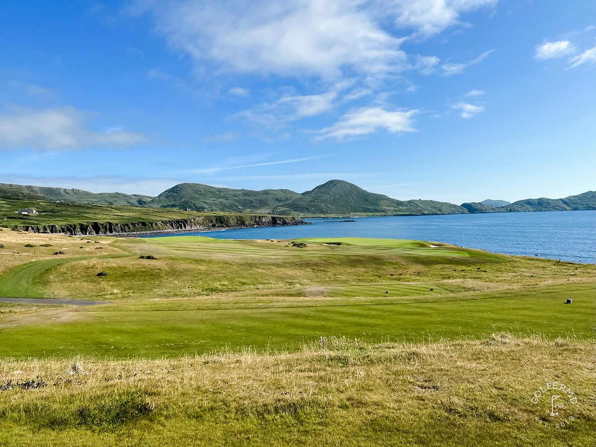 #8 Hogs Head
