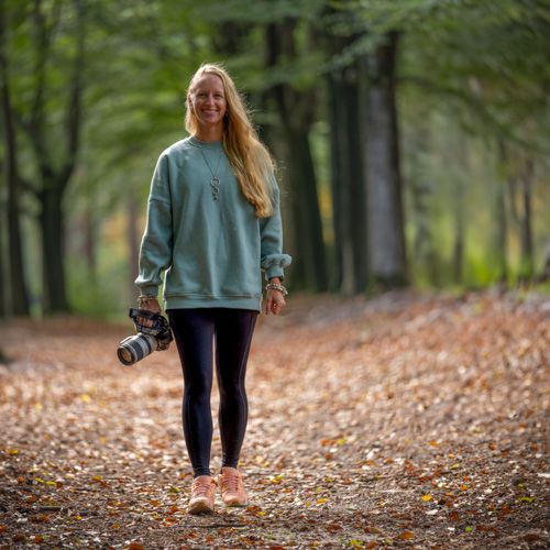 De opbouw en terugval