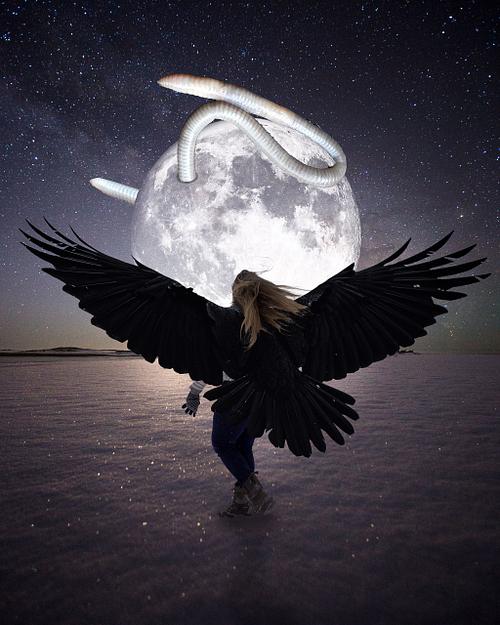 Crow Worm Moon