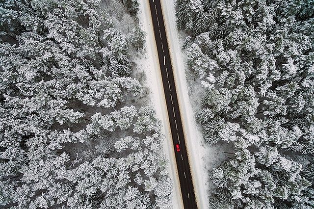 Winter Photography -10 Tips to Master Snow Photography (With Examples)