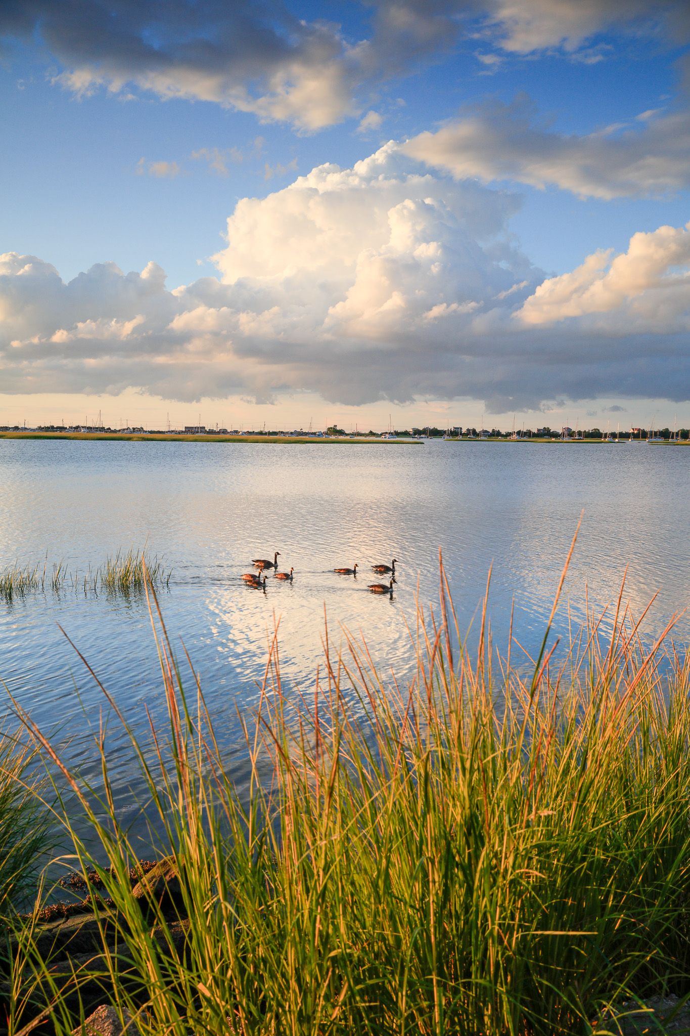 ALISON PERRY PHOTOGRAPHY