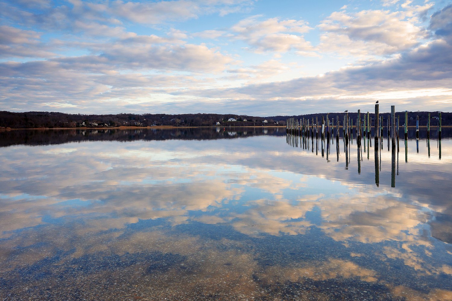 ALISON PERRY PHOTOGRAPHY