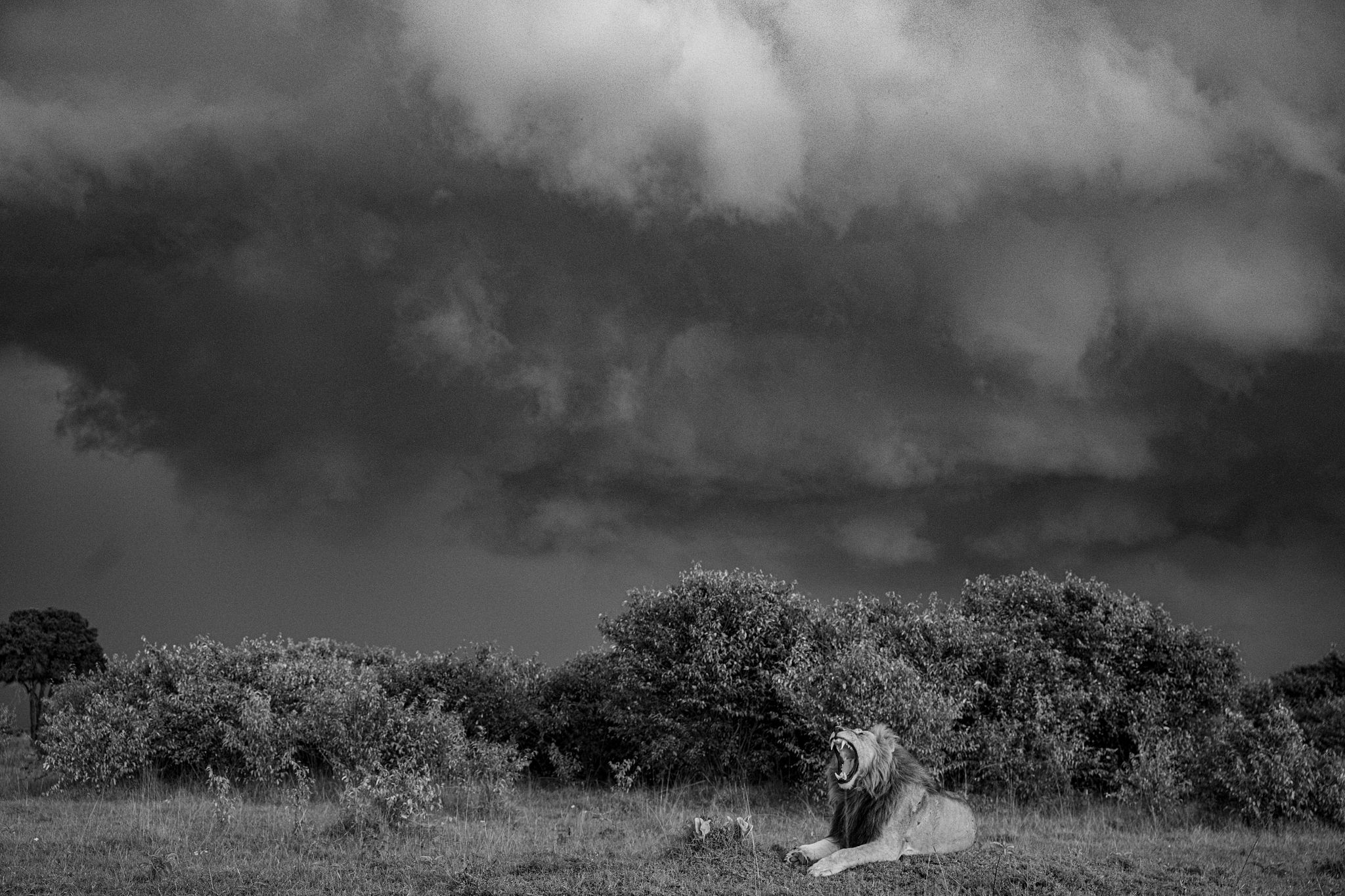 Nitin Madhav Photography