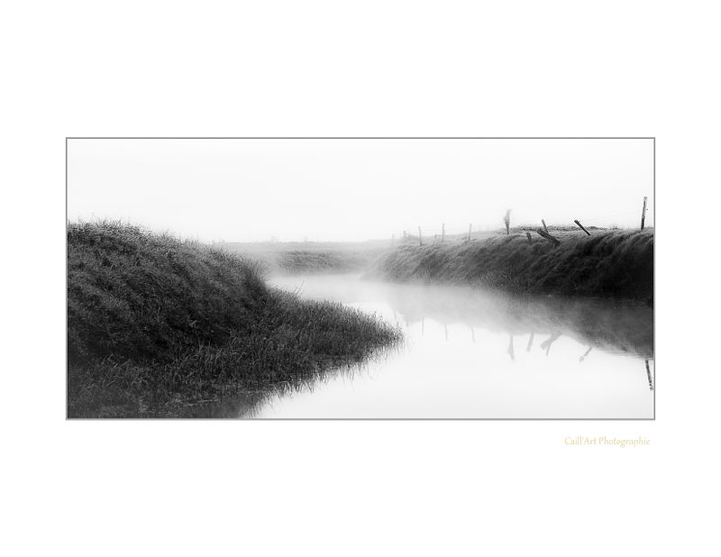 Le noir et blanc en paysages