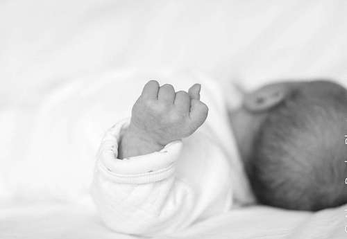 Let's Begin Your Family Journey
