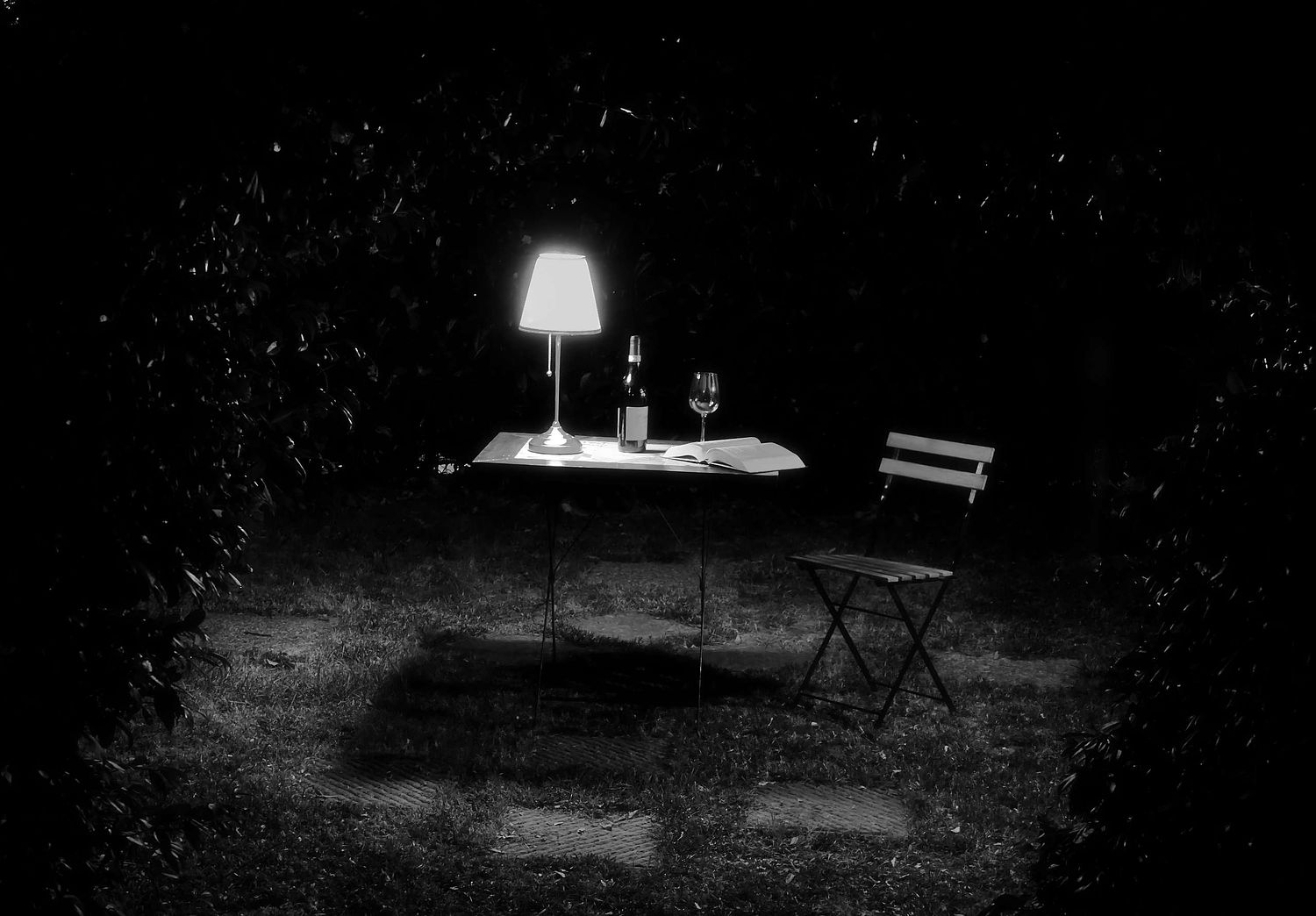 DSC01006b&W