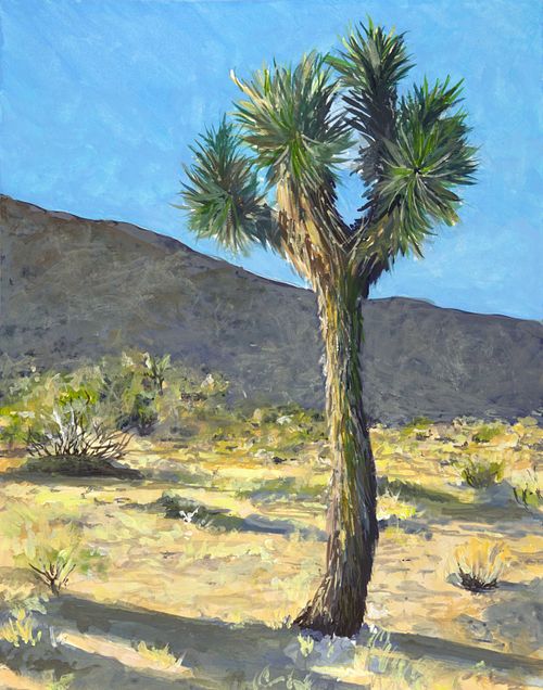 Joshua Tree Nancy Karl Master 4-12-25