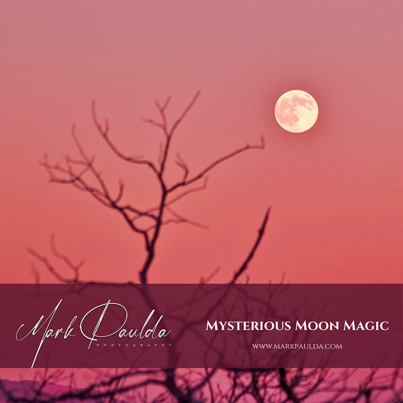 Mysterious Moon Magic