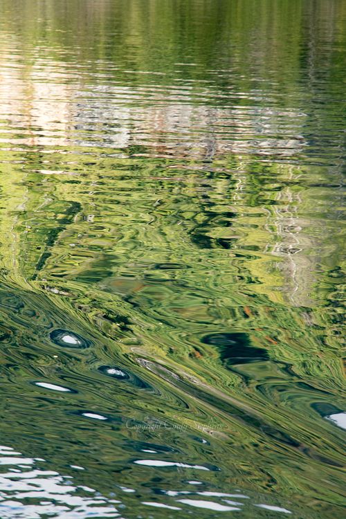 A delicate water abstraction with soft green, blue, and azure tones, capturing tranquil reflections and inviting personal reflection.