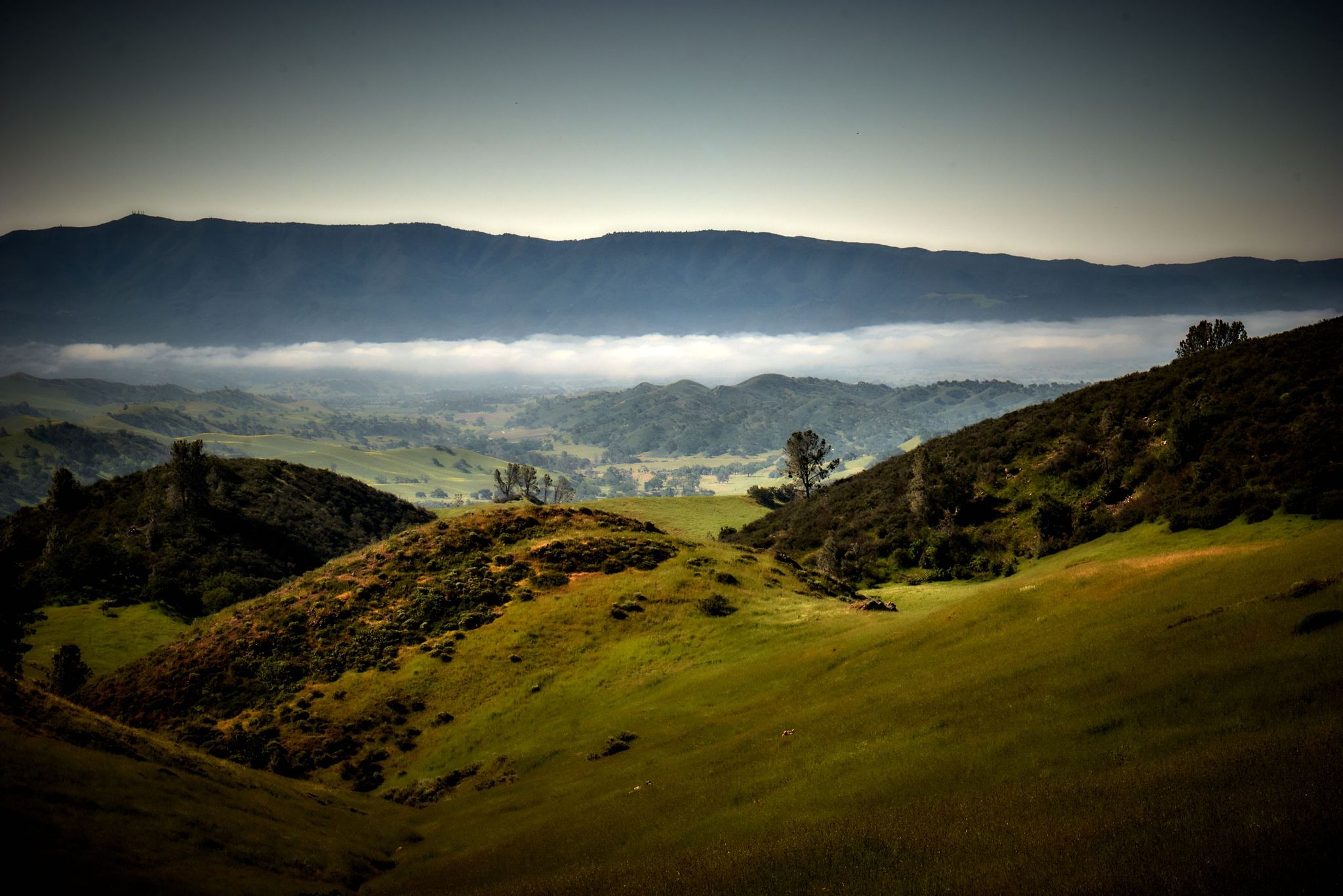 Santa Ynez Valley in Late Afternoon - California