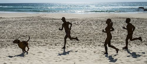 Endless Shadows by Ian Haggerty. Swell Festival.