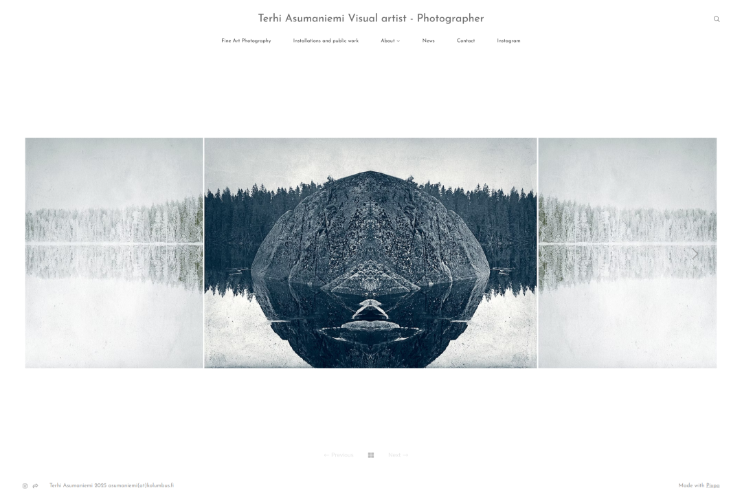 Portafolio de artistas de Terhi Asumaniemi