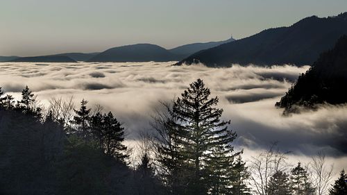Nebelmeer am Weissenstein