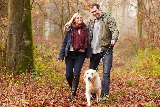 Pareja feliz paseando con perro