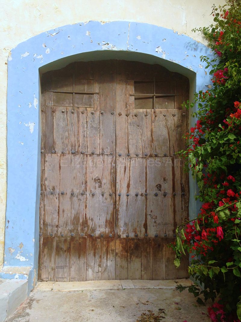 Gallery 6: Journeys Captured