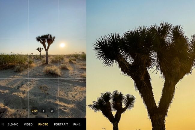 Dicas de fotografia para iPhone
