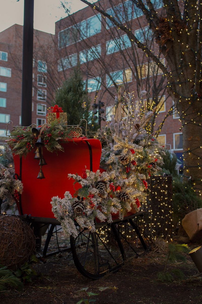 Christmas Tree Lighting