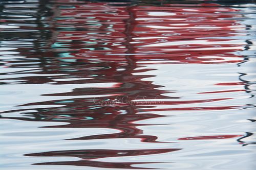 Striking image showcasing vibrant red reflections highlighted by turquoise, soft blues, and gentle greys, capturing the artist's unfiltered vision of beauty just beneath and above the surface
