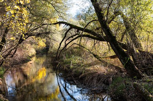 In der Kleinhöchstettenau 