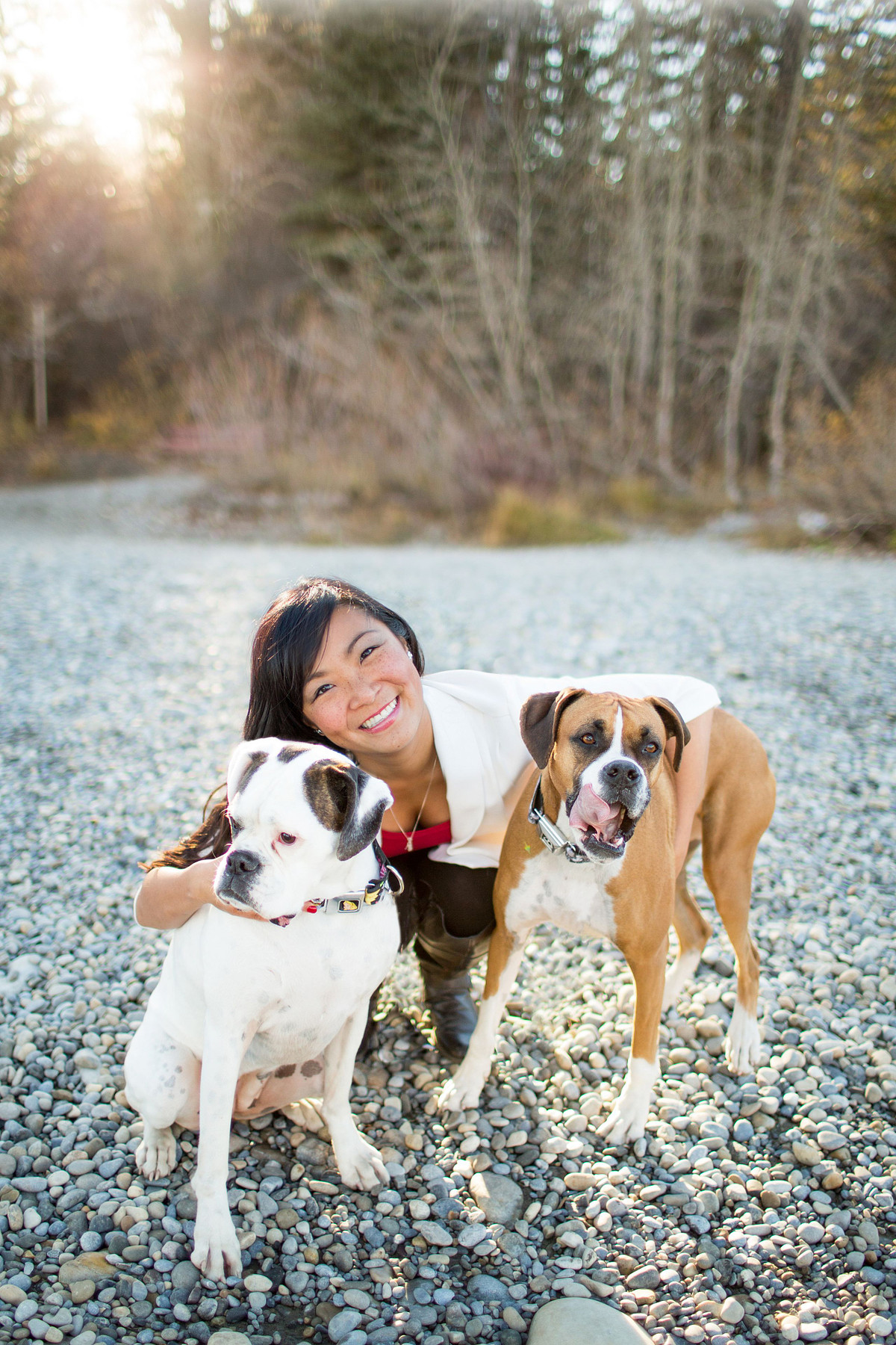 woman with her 2 boxer dogs in edworthy park one is a fawn boxer the other is a white boxer.