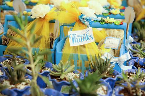 Pradeepkphotography@gmail.com