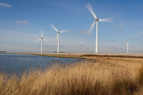 Deltawind