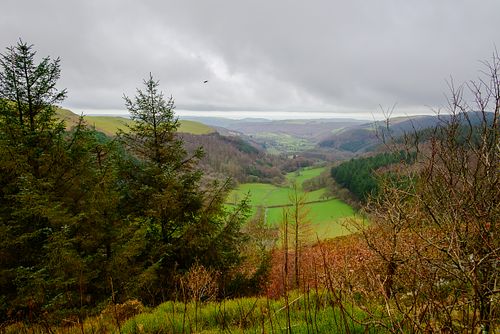 Bwlch Nant yr Arian Forest Trail