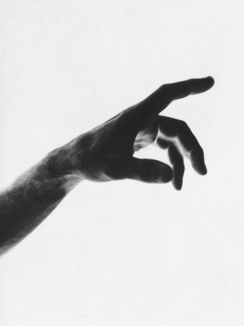 In the beginning: Exploring the Unseen World of Creativity