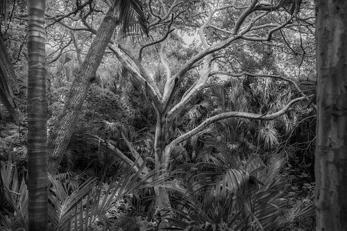 Encuentra tu fotografía favorita