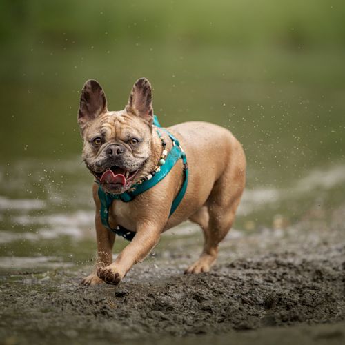 Tijdens de fotoshoot