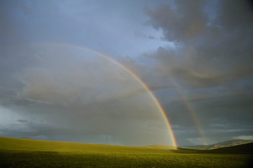 Harnaschpolder vanaf Vermeertoren