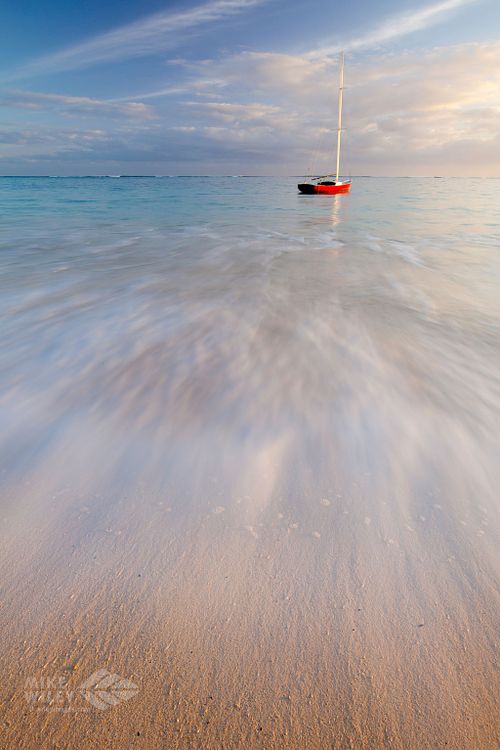 Thanks for visiting...I&rsquo;m Mike, a nature and wildlife photographer