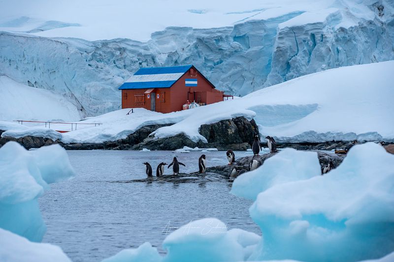 Photography in the Antarctica