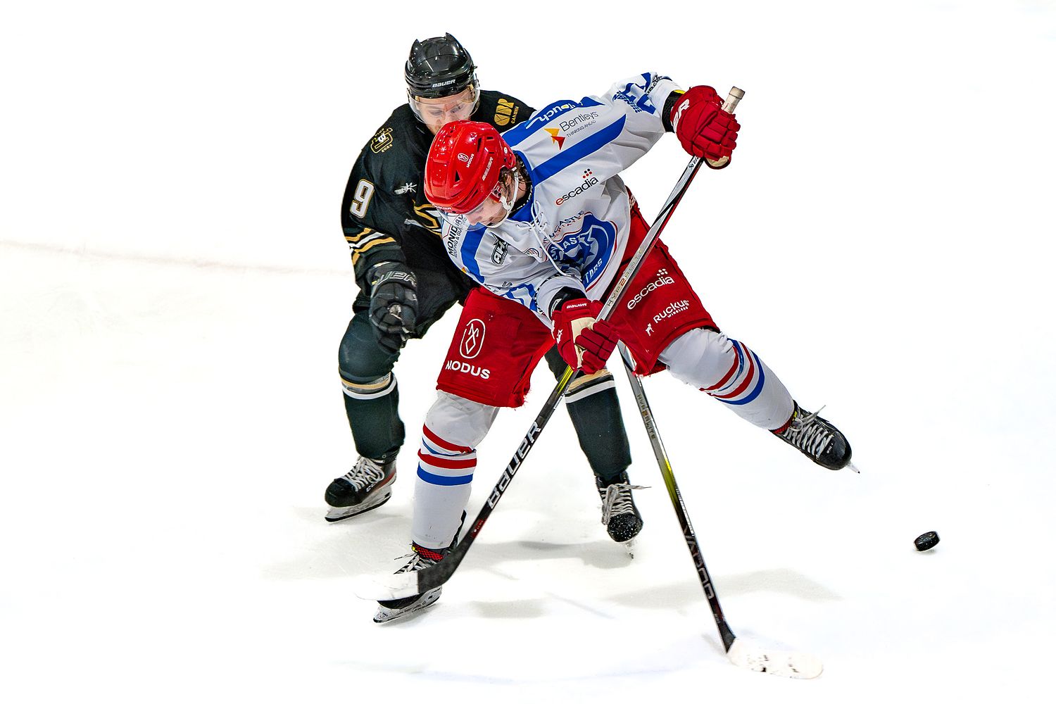 Australian Ice Hockey League (AIHL) 2024 regular season game Caribou Canberra Brave v Newcastle Northstars [29 June 2024]