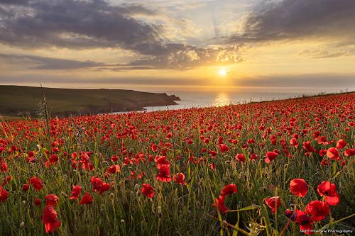 LANDSCAPE PHOTOGRAPHY