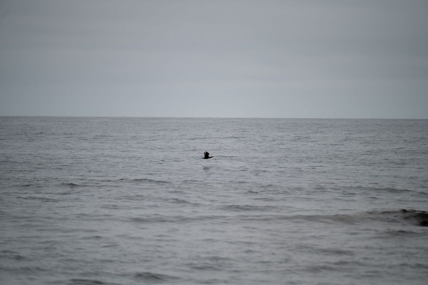 Borislav Filipov Photostories